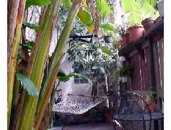 2-Night Stay at 1870 Banana Courtyard B&B in the Heart of the French Quarter