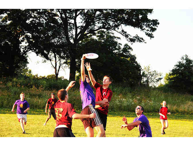 Ultimate Frisbee in the Park