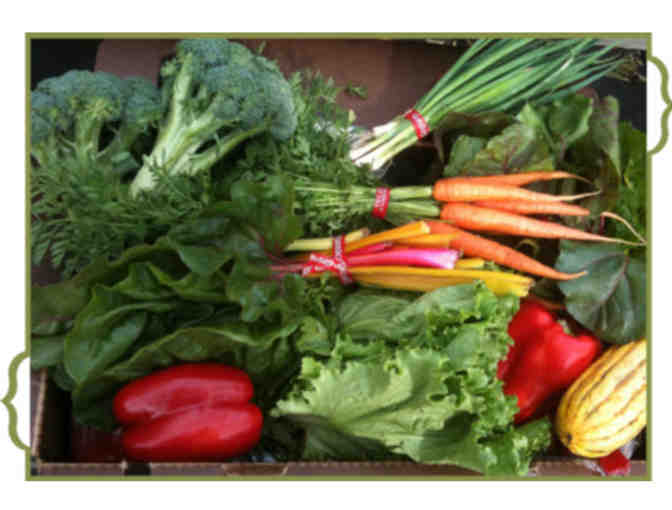 1 Box Organic Veggies from J & P Organics, Cookbook, Wine, Olive Oil & Soap - Photo 1