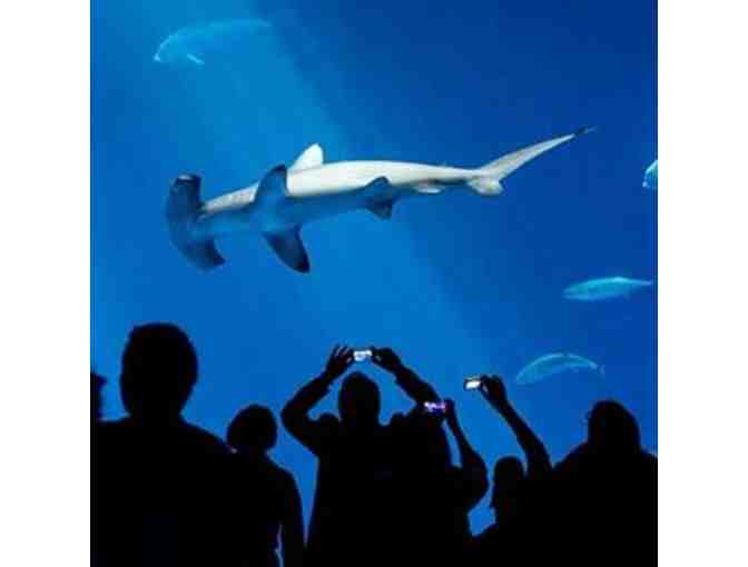 Monterey Bay Aquarium Passes