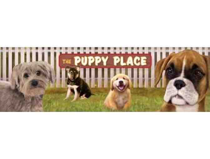 The Puppy Place - 4 Book Set