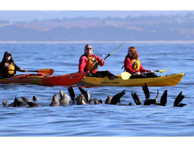 1/2 Day Double Kayak Rental at Kayak Connection, Moss Landing, Santa Cruz