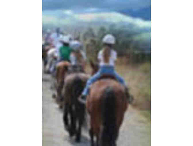 4 Person Trail Ride Package at Webb Ranch
