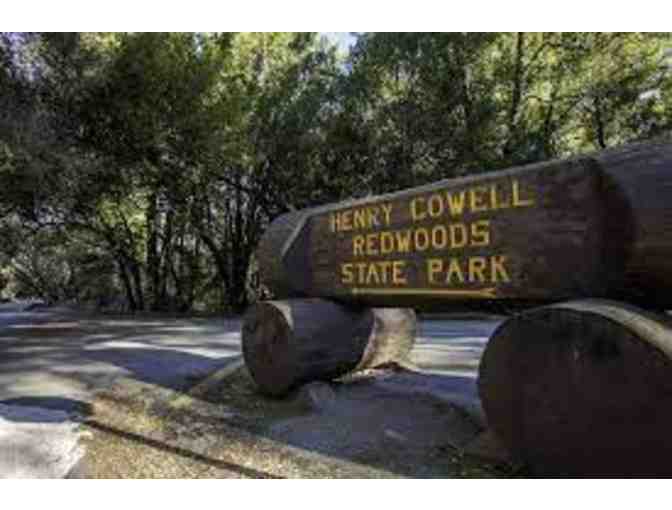 Henry Cowell Hike and Picnic Lunch with Mrs. Bootz