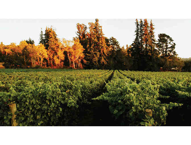 Lester Estate Wines Picnic Essentials Basket - 2 Bottles and Tasting for 2