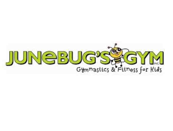 June Bug's Gym One Month Gymnastics Classes - Photo 1