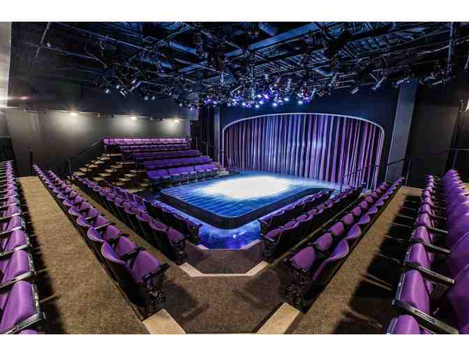 2 Tickets to the Purple Rose Theatre Company