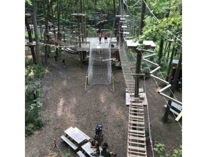 Family 4-Pack to TreeRunner Adventure Park - Photo 3