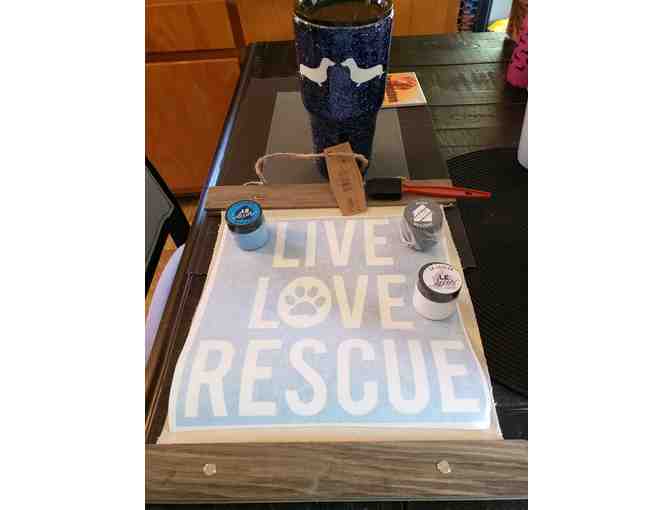 Blue Stainless Tumbler with Dachshunds and Live, Love, Rescue