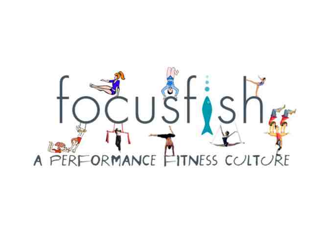 FOCUSfish - One Month Unlimited Aerial Classes