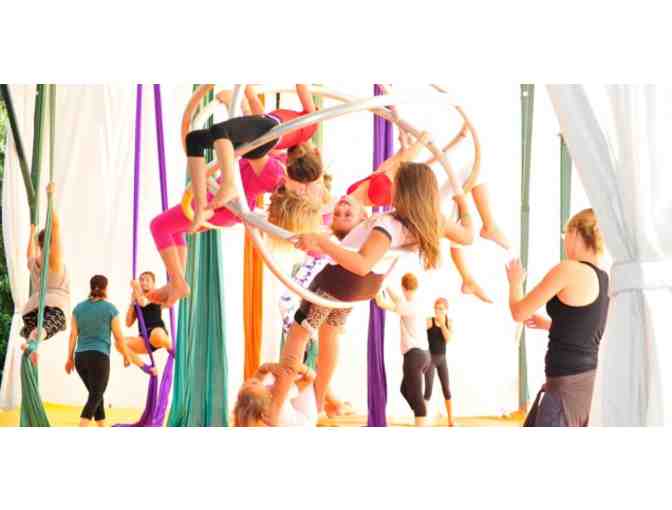 FOCUSfish - One Month Unlimited Aerial Classes