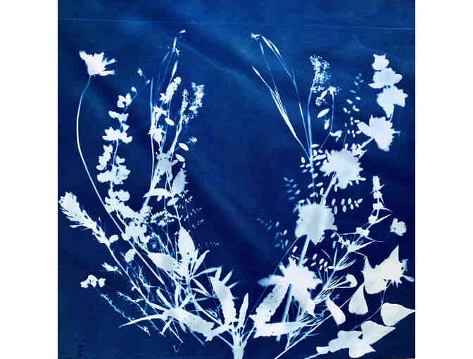 20" x 20" Botanical Cyantoype on Panel by Caitlin Parker - Spring in Topanga - Photo 1