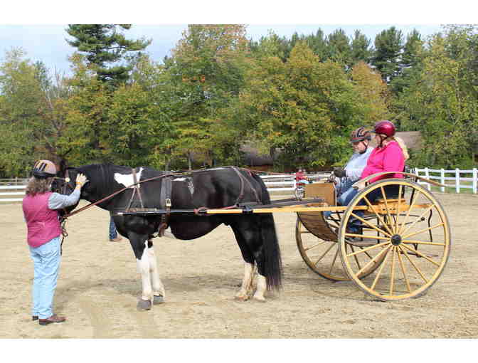 A Driving Lesson at Touchstone Farm!