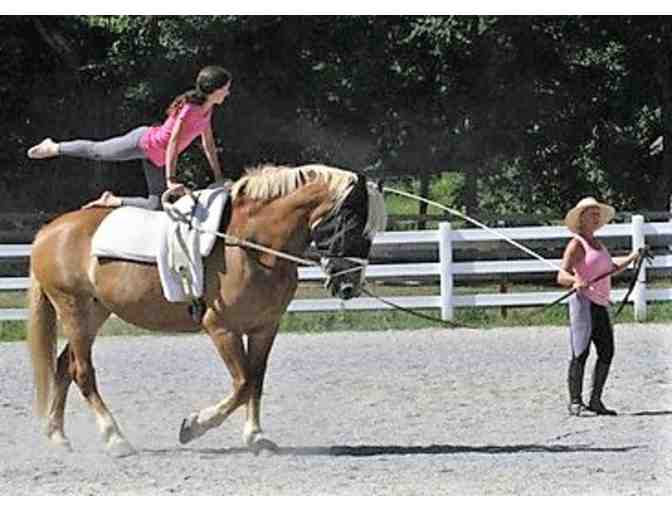 A Much Vaulted Lesson