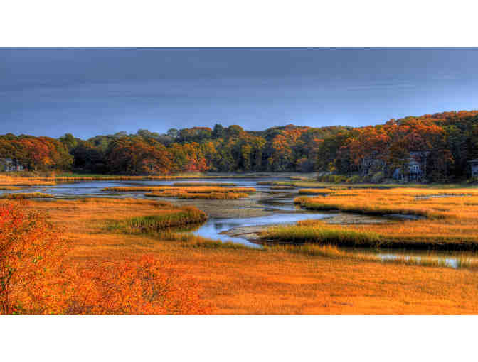 Explore the Ipswich, Essex & Rowley Saltmarshes with Captain Nat!