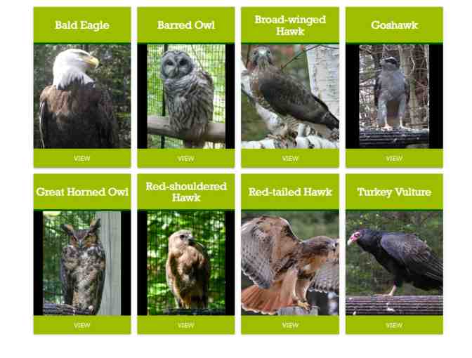 Squam Lakes Natural Science Center 4 Trail Passes - Take A Walk on the Wild Side!