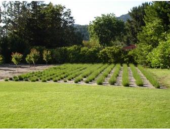 24 Hours in Sonoma with Your Best Gal Pals!