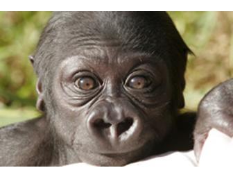 Private Behind-the-Scenes Tour of the San Francisco Zoo