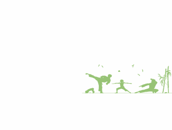 $25 Family Class at Paresh Martial Arts