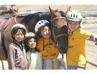 $500 Gift Certificate to Roughing It Day Camp