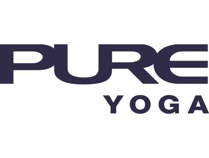 Private Figure 4/Yoga Class for 20 friends from Pure Yoga, plus Health Warrior Chia Bars!