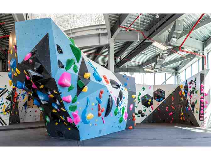 (4) Day Passes to Vital Climbing Gym