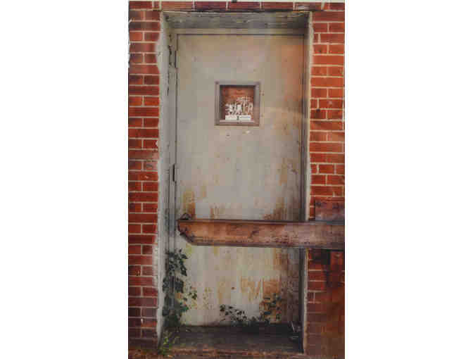 Dan Witz: Mean Monkey 4/6