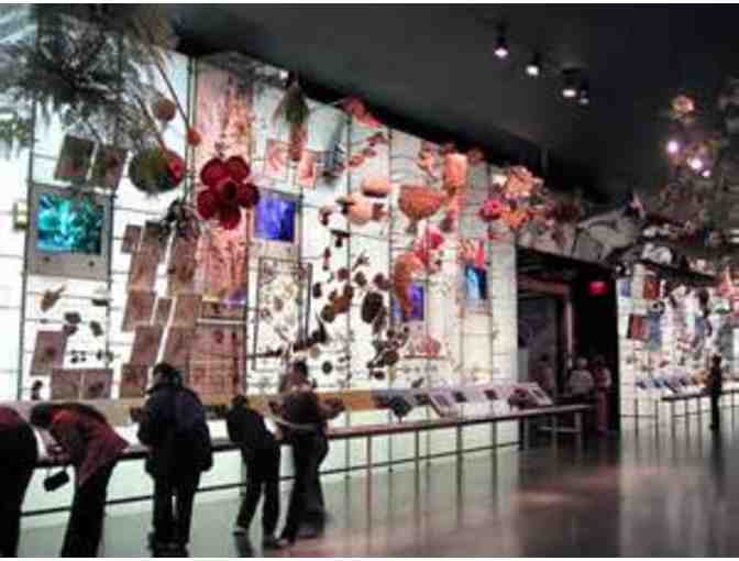 Four tickets to the American Museum of Natural History!
