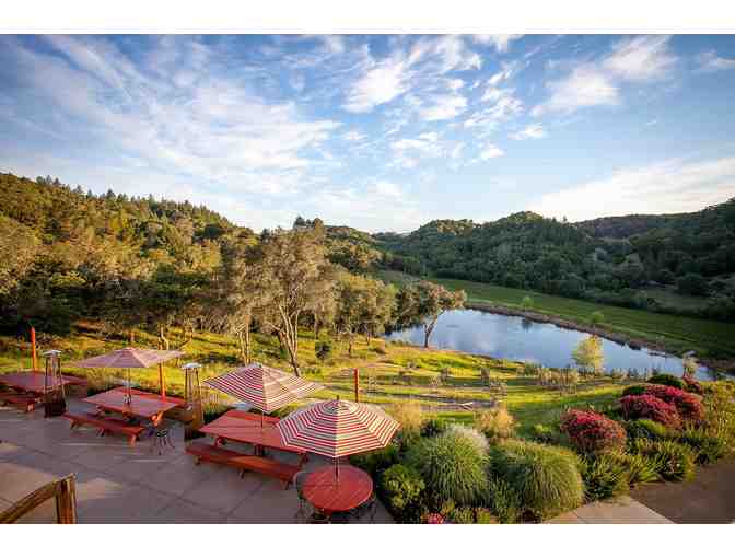 Wine tasting for 8 at Fritz Underground Winery!