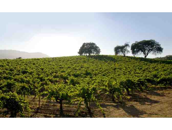 Wine tasting for six at B.R. Cohn Winery