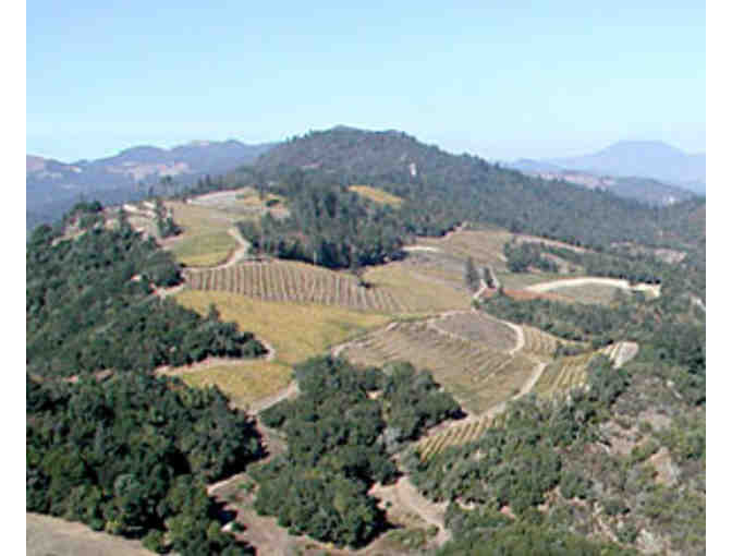 Wine Tasting for 4 at Ladera Vineyards in the Napa Valley
