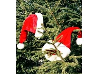 Breezy HIll Acres - Christmas Tree!