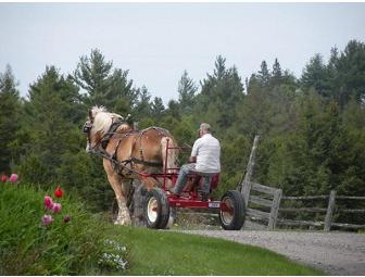 Emergo Farm B&B - 1 Night Farm Stay with Breakfast