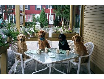 Gracie's - $50 Gift Certificate