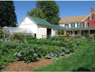 Hollister Hill Farm B&B - $50 Gift Certificate for Lodging or the Farm Store