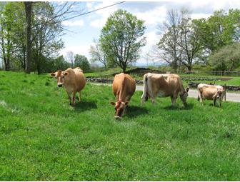 Hollister Hill Farm B&B - $50 Gift Certificate for Lodging or the Farm Store