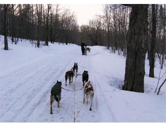 Montgomery Adventures - Dog Sled Ride for 2