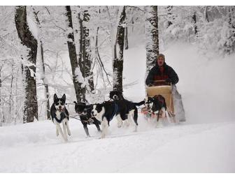 Montgomery Adventures - Dog Sled Ride for 2
