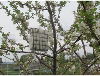 Agape Hill Farm - Fiber Feeder for the Birds with refill