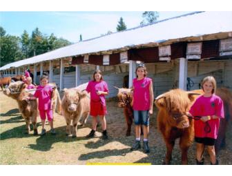 Caledonia County Fair Association - 2 One Day Tickets to the 2013 Fair!