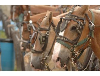 Caledonia County Fair Association - 2 One Day Tickets to the 2013 Fair!
