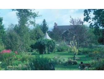 Perennial Pleasures Nursery & Tea Garden - English Cream Tea for two