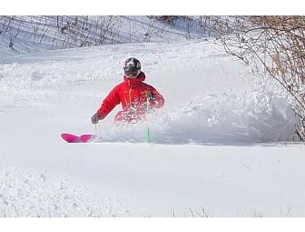 Worth Skis - $300 Gift Certificate towards the Purchase of Semi-Custom Skis!
