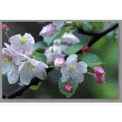 Elinor Osborn Photography