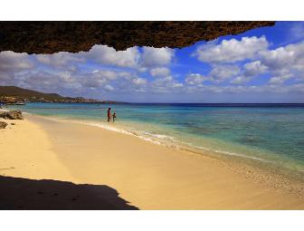 Escape to the Tropics: 2012 TCIA WMC in Curacao