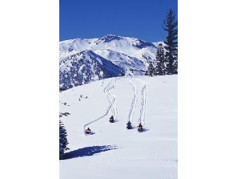 Mammoth Lakes: Fun in any Season