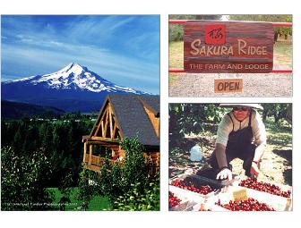 Columbia Gorge Wine Country Excursion