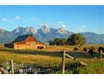 Bentwood Ski Vacation in Jackson Hole, WY