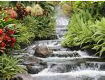 90-minute Life Coaching Strategy Session