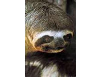 10 Day Peru Amazon Cruise for Two